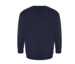 CRATER RECYCLED SWEATSHIRT