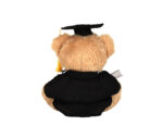 GRADUATION BEAR